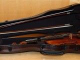 Violin form interiör