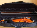 Violin Sportstyle interiör
